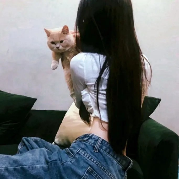 龙猪飞上天